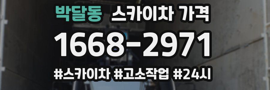 박달동 스카이차 가격