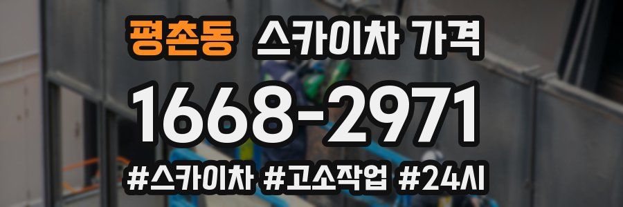 평촌동 스카이차 가격