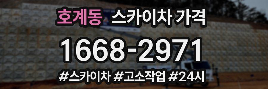 호계동 스카이차 가격