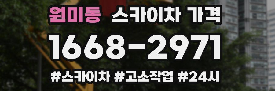 원미동 스카이차 가격