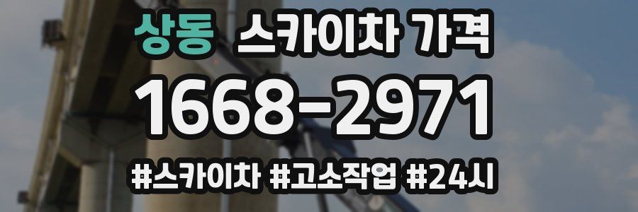 상동 스카이차 가격