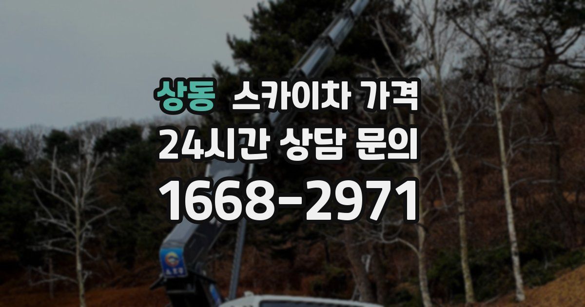 상동 스카이차 가격