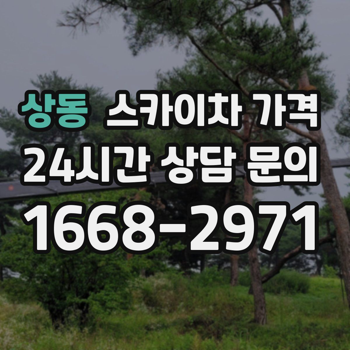 상동 스카이차 가격