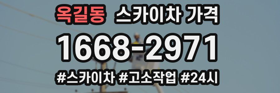 옥길동 스카이차 가격