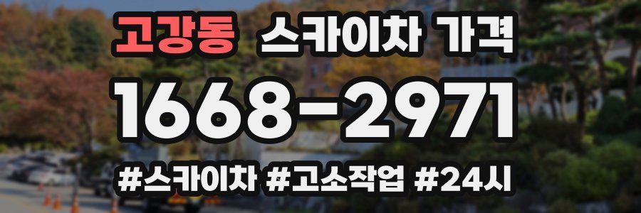 고강동 스카이차 가격