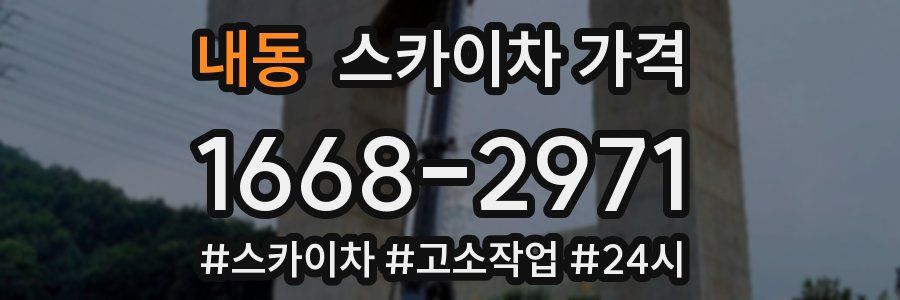 내동 스카이차 가격