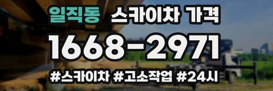 일직동 스카이차 가격