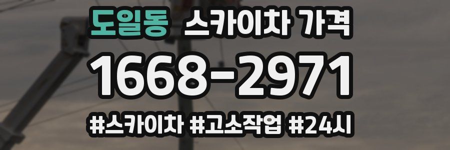 도일동 스카이차 가격