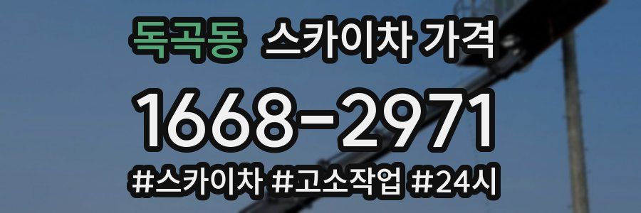 독곡동 스카이차 가격