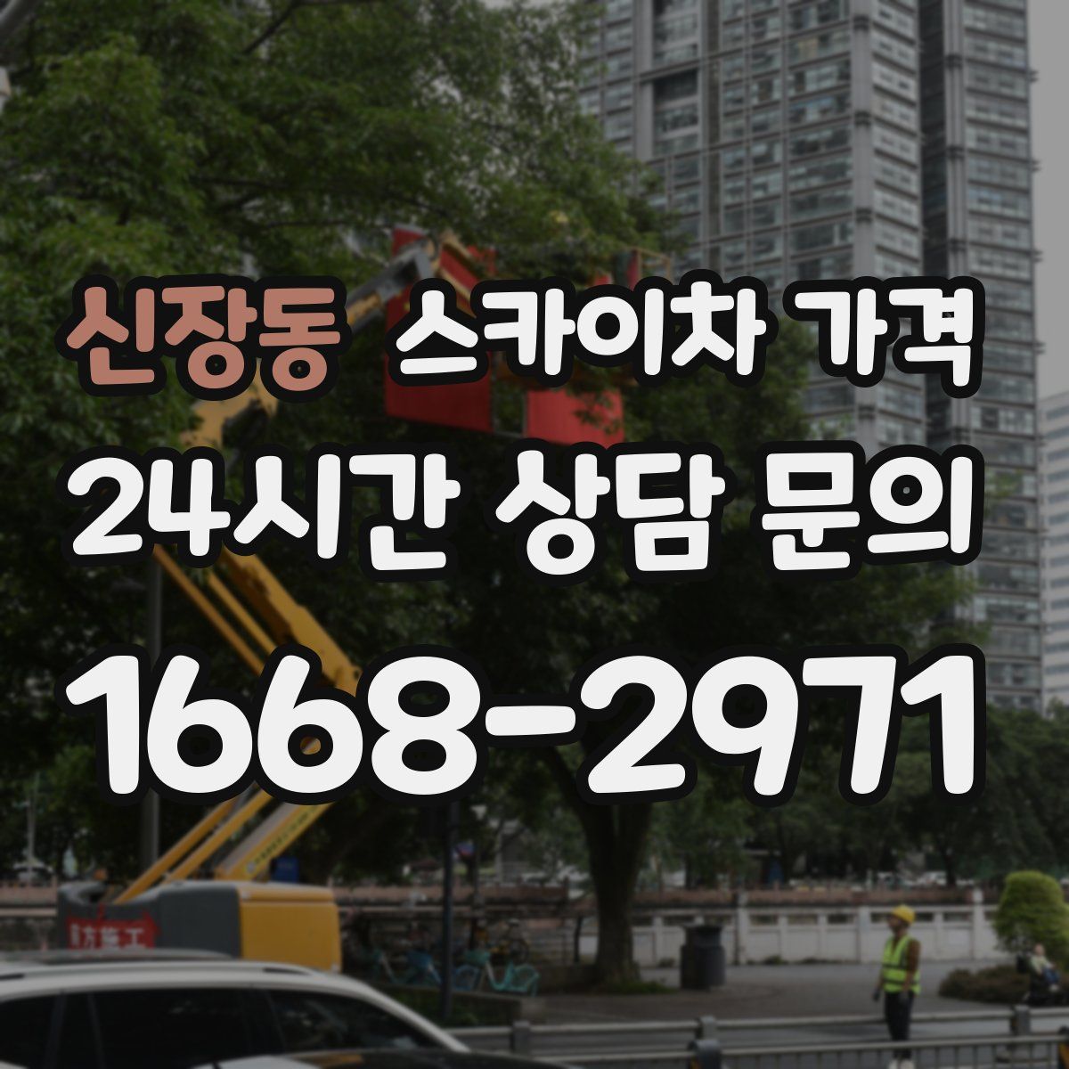 신장동 스카이차 가격