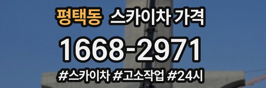 평택동 스카이차 가격