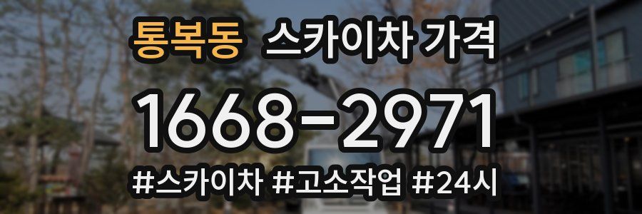 통복동 스카이차 가격