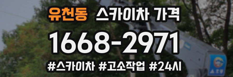 유천동 스카이차 가격