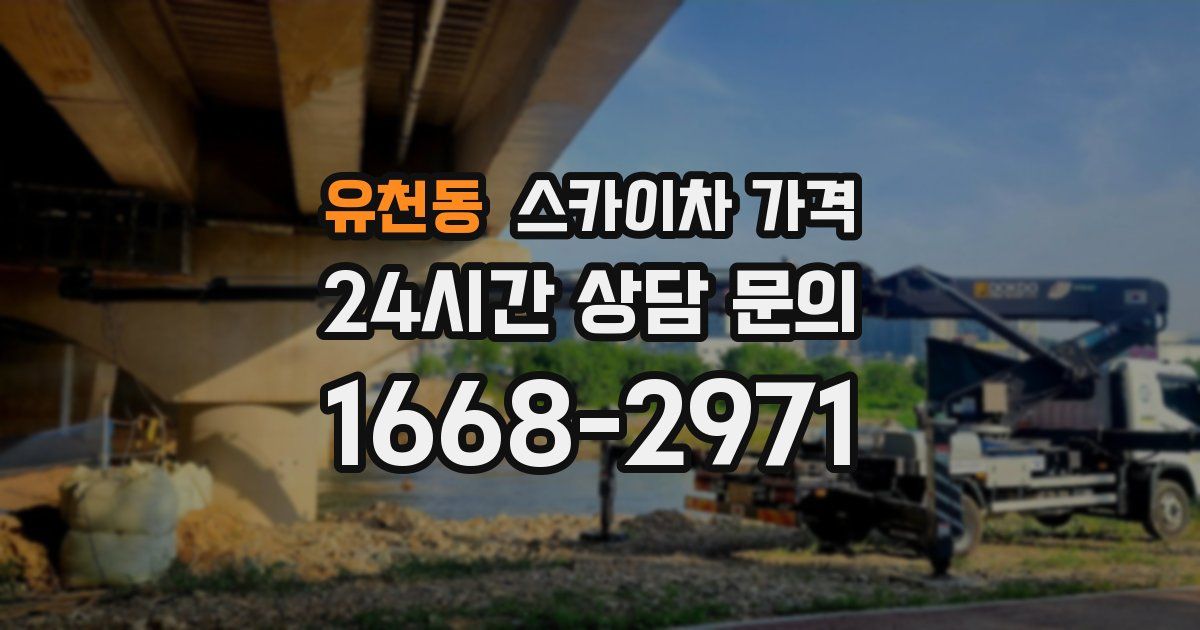 유천동 스카이차 가격