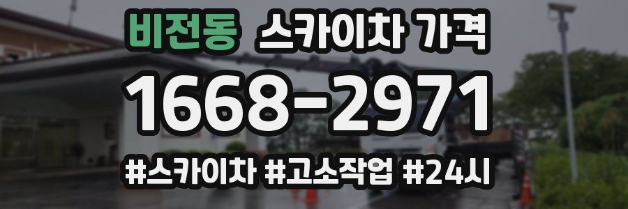 비전동 스카이차 가격