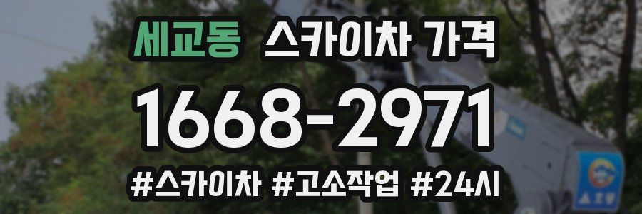 세교동 스카이차 가격