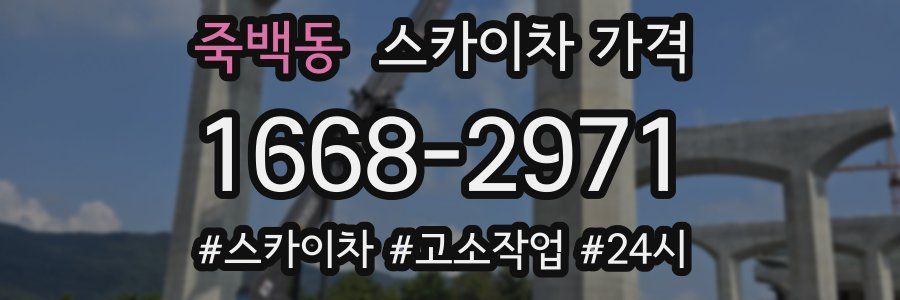 죽백동 스카이차 가격