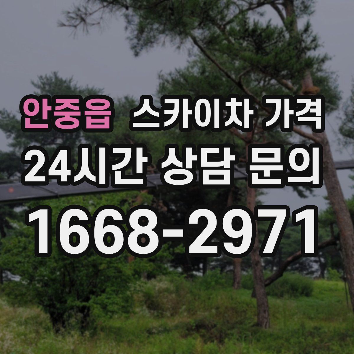 안중읍 스카이차 가격