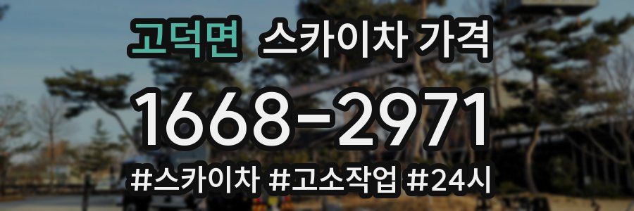 고덕면 스카이차 가격