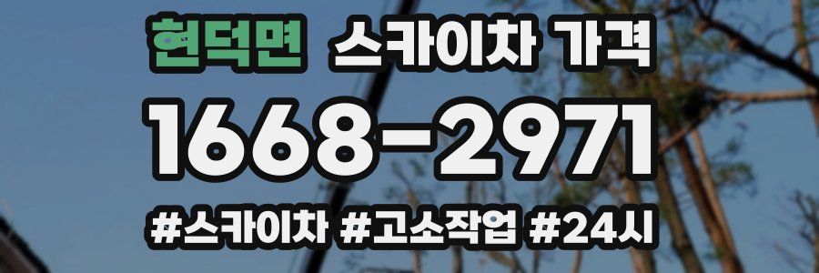 현덕면 스카이차 가격