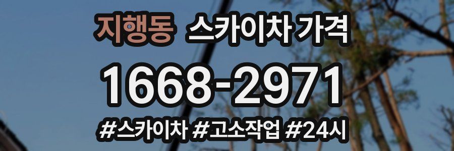 지행동 스카이차 가격