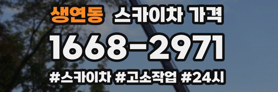 생연동 스카이차 가격