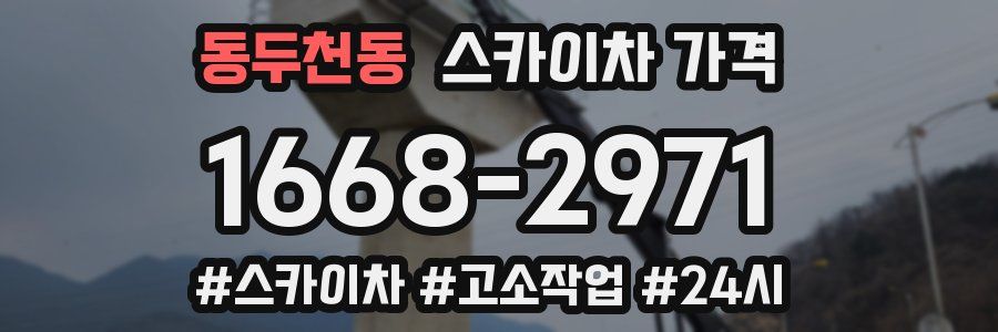 동두천동 스카이차 가격