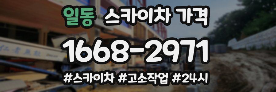 일동 스카이차 가격