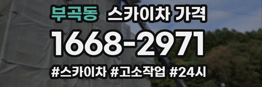 부곡동 스카이차 가격