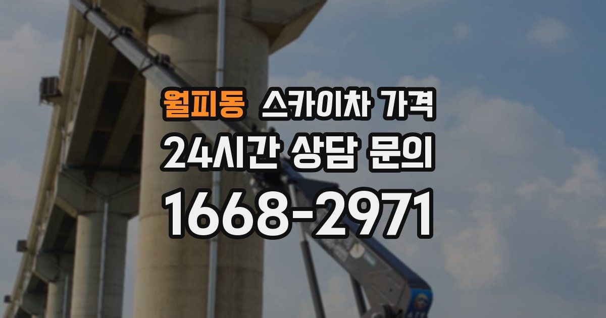 월피동 스카이차 가격