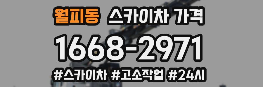 월피동 스카이차 가격