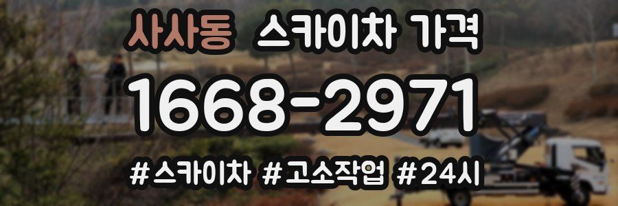 사사동 스카이차 가격