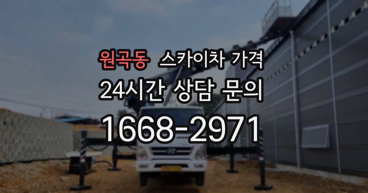 원곡동 스카이차 가격