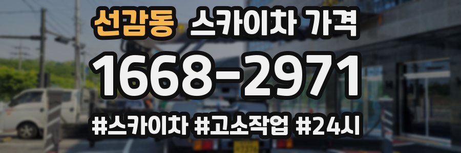 선감동 스카이차 가격