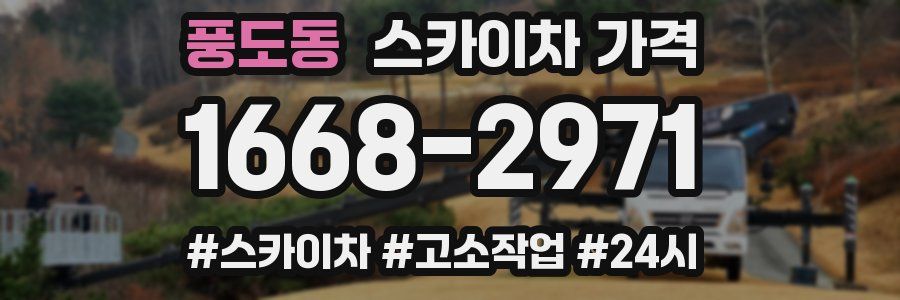 풍도동 스카이차 가격