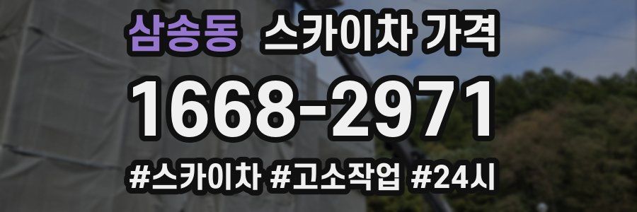 삼송동 스카이차 가격