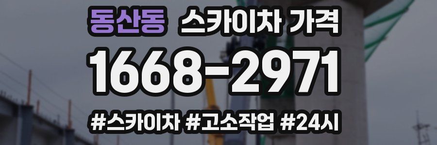 동산동 스카이차 가격