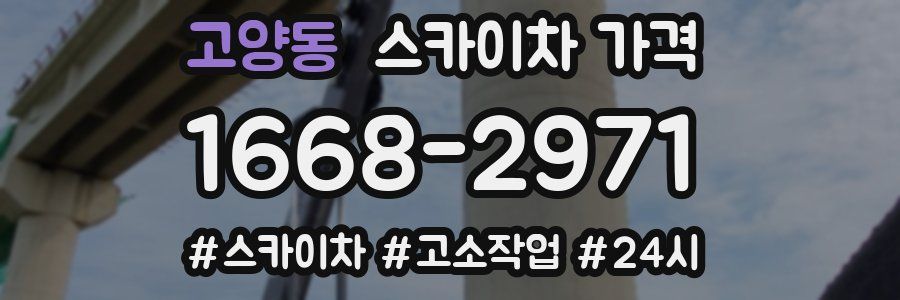 고양동 스카이차 가격