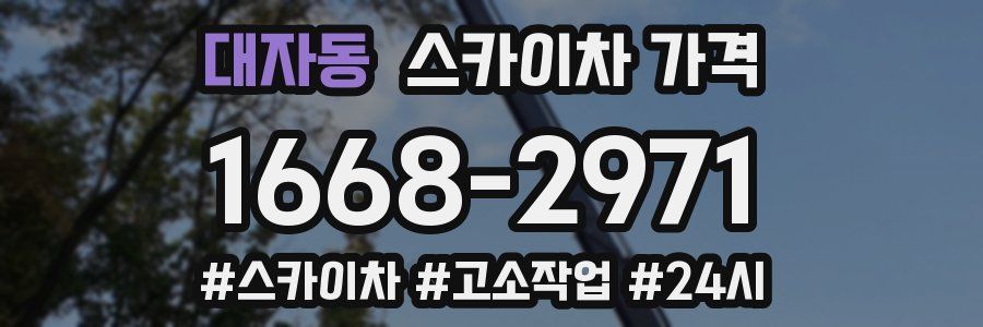 대자동 스카이차 가격