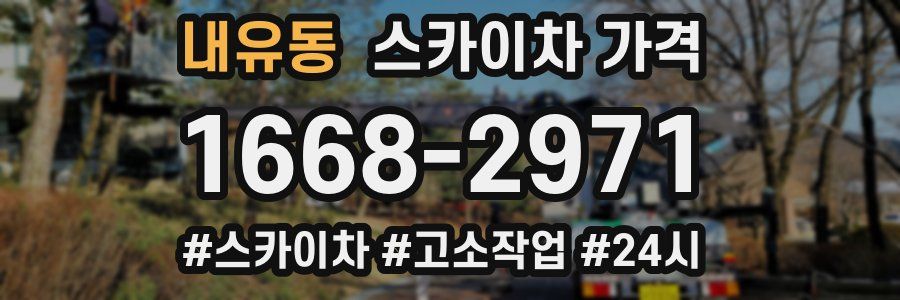 내유동 스카이차 가격