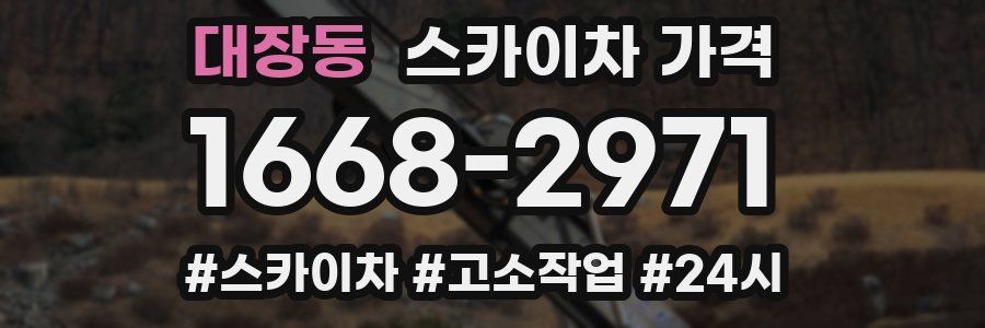 대장동 스카이차 가격