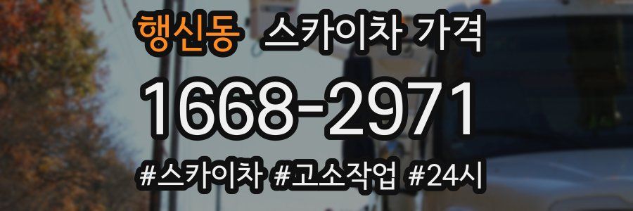 행신동 스카이차 가격