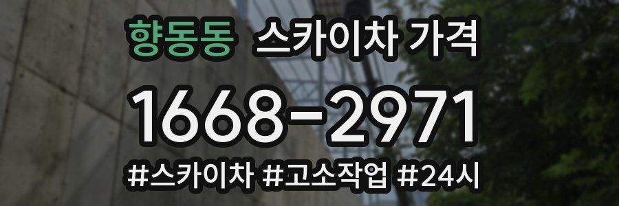 향동동 스카이차 가격