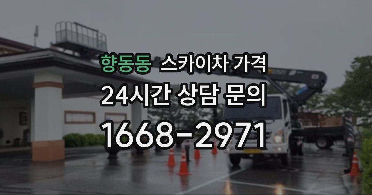 향동동 스카이차 가격