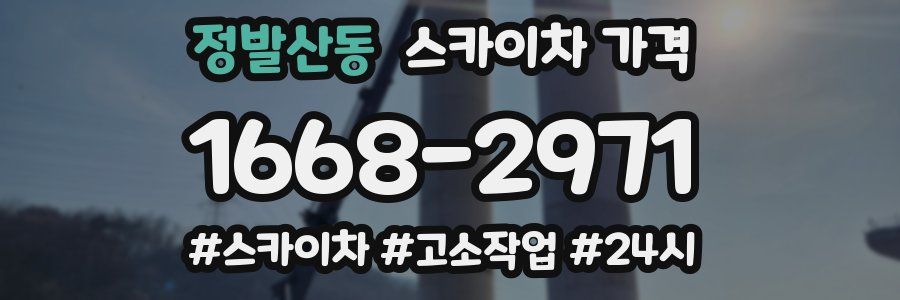 정발산동 스카이차 가격