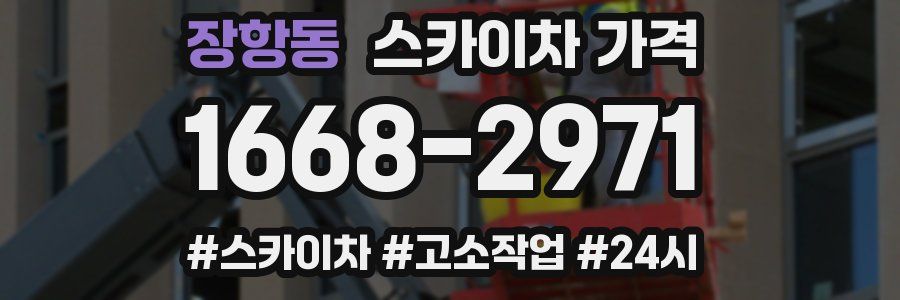 장항동 스카이차 가격