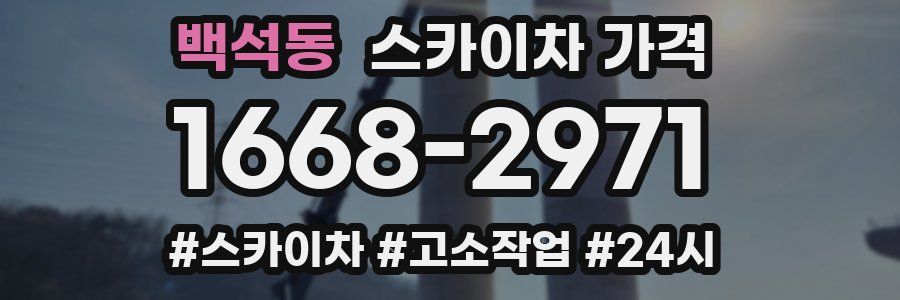 백석동 스카이차 가격