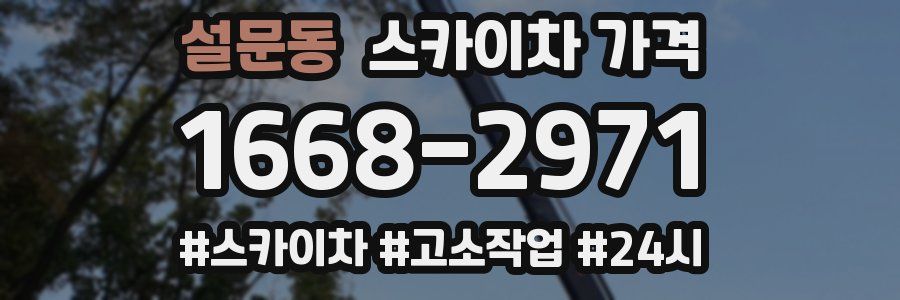 설문동 스카이차 가격