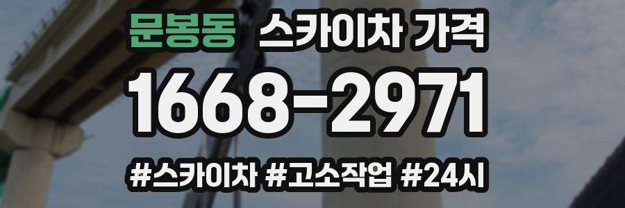 문봉동 스카이차 가격