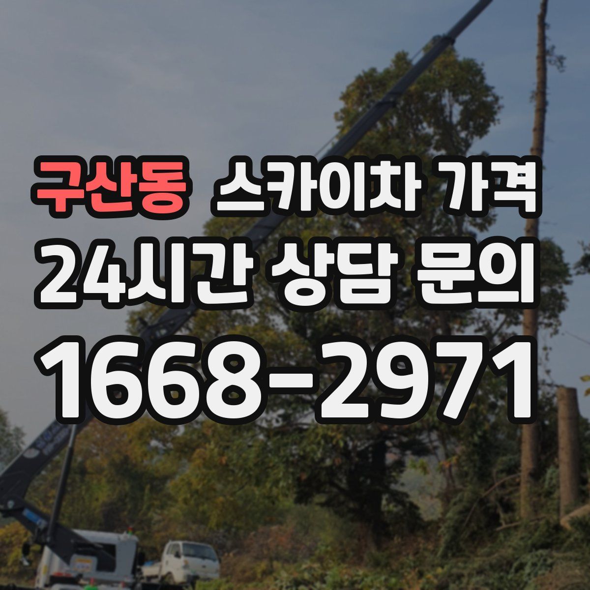 구산동 스카이차 가격